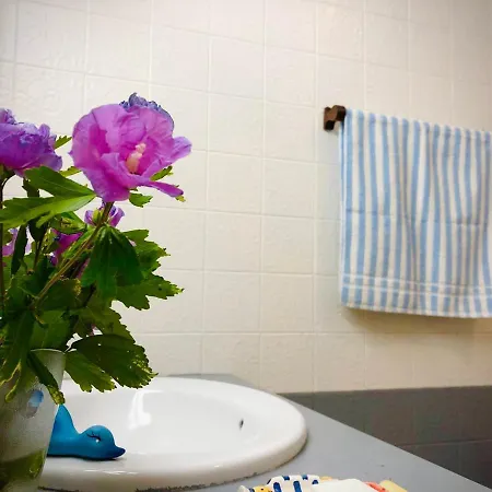 Homestay Casa Do Trevo *