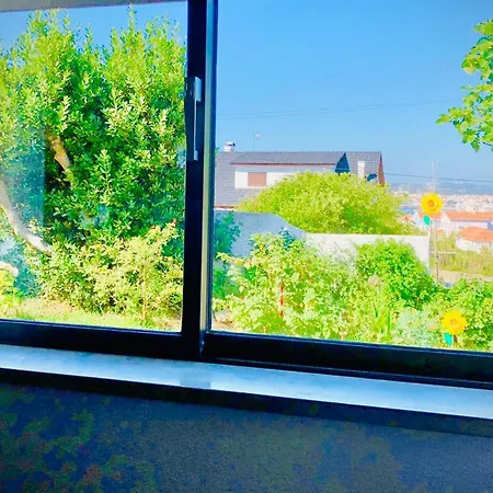 Casa Do Trevo 民宿