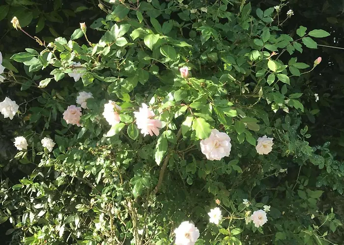 Casa Do Trevo Δωμάτια σε οικογενειακή κατοικία Salir de Porto